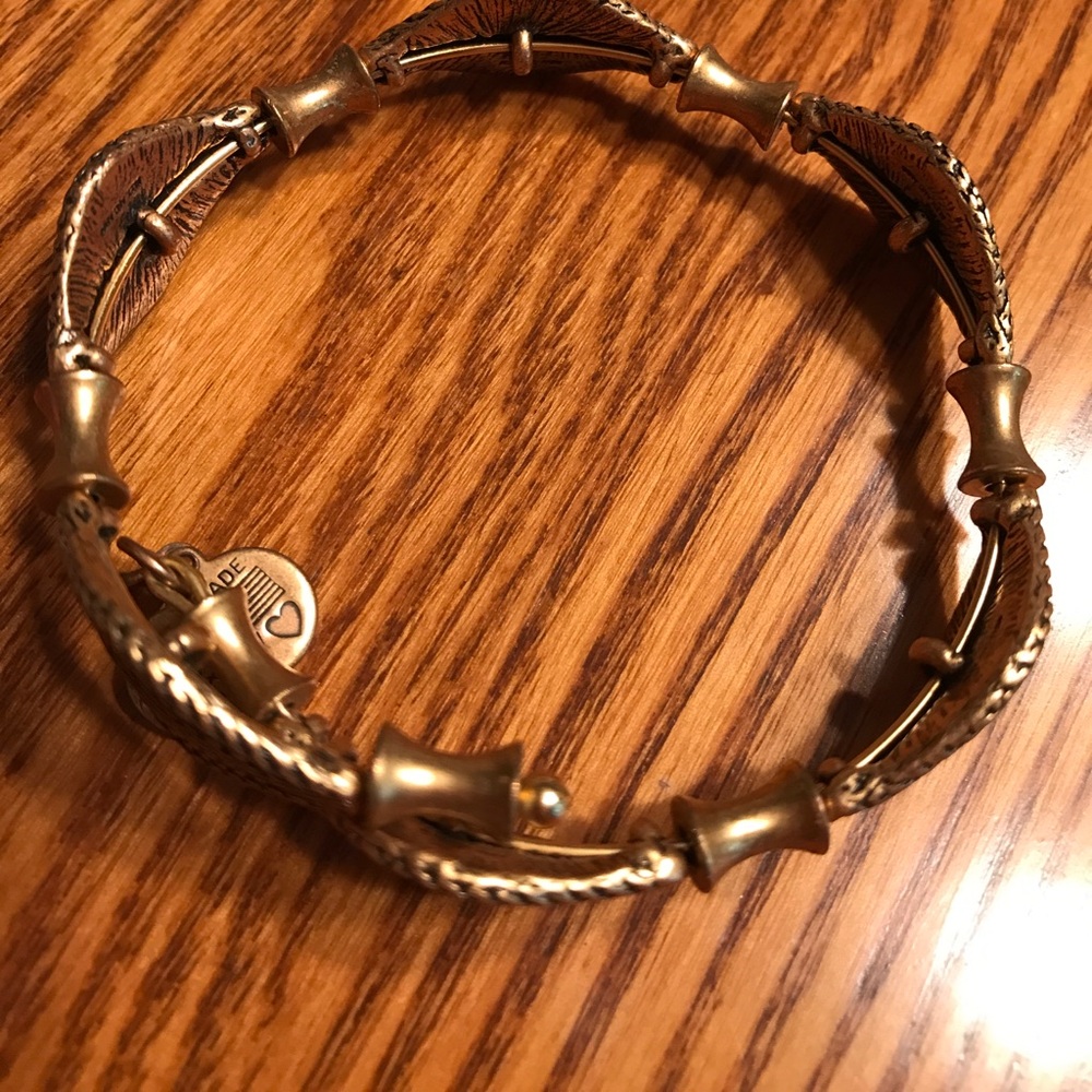 Alex and ani metal wrap bracelet